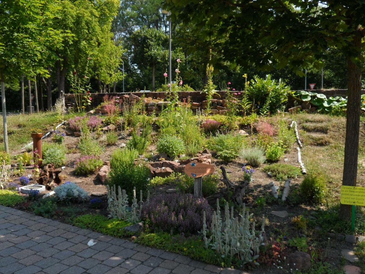 Ferienwohnung Orchidee Germersheim Exteriör bild