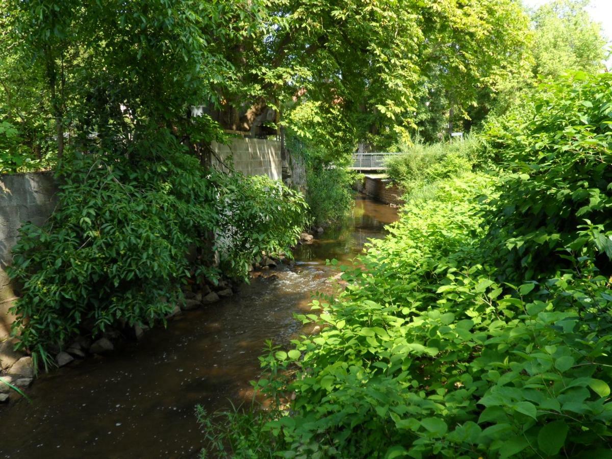 Ferienwohnung Orchidee Germersheim Exteriör bild